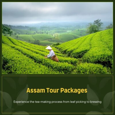Assam Tour Packages for Scenic Views, Wildlife, and Culture