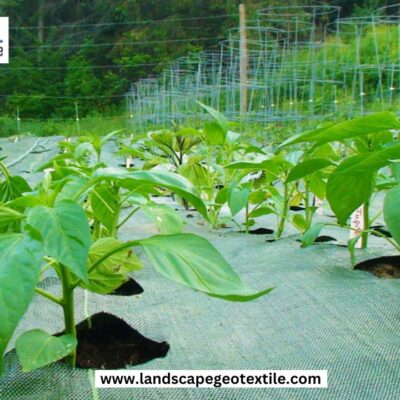 Weed barrier fabric