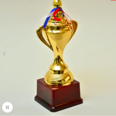 Buy Awards and Trophies Online
