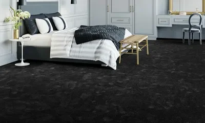 black carpets