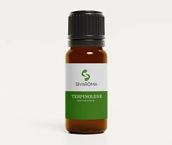Aromatic chemicals suppliers in India