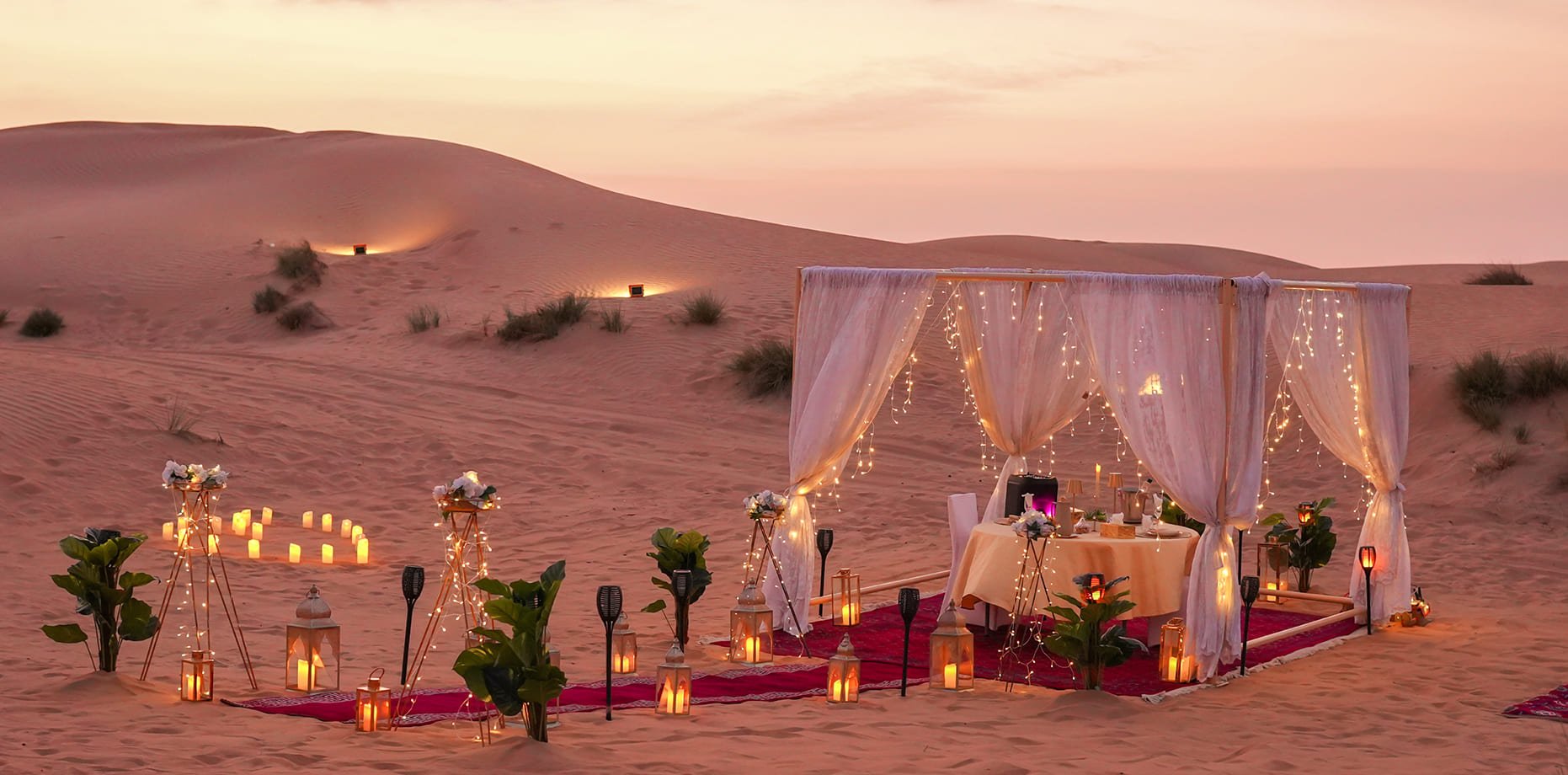 Discover Dubai’s Top Private Safari Tours