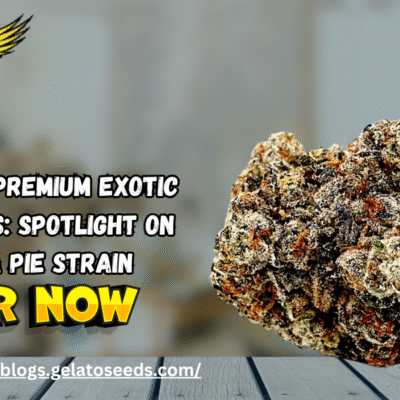 Premium Exotic Weed Seeds