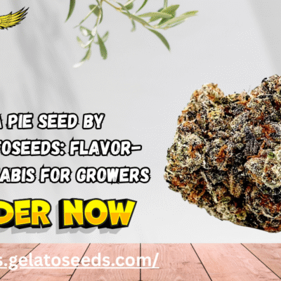 Georgia Pie Seed