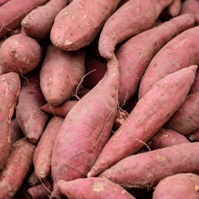 Sweet Potato Processing Plant