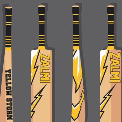 unique cricket bat stickers