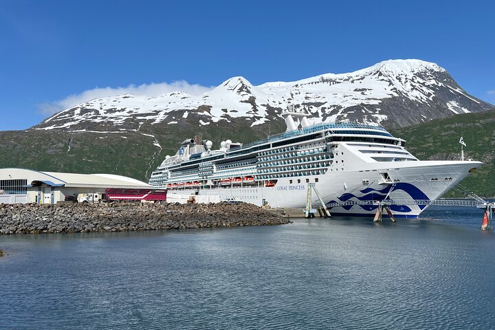 Cruise Ship Transfer to Seward