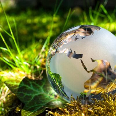 environmental consultants