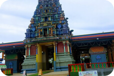 Nadi Tours in FIji