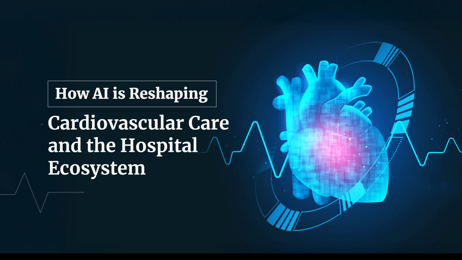 Cardiology