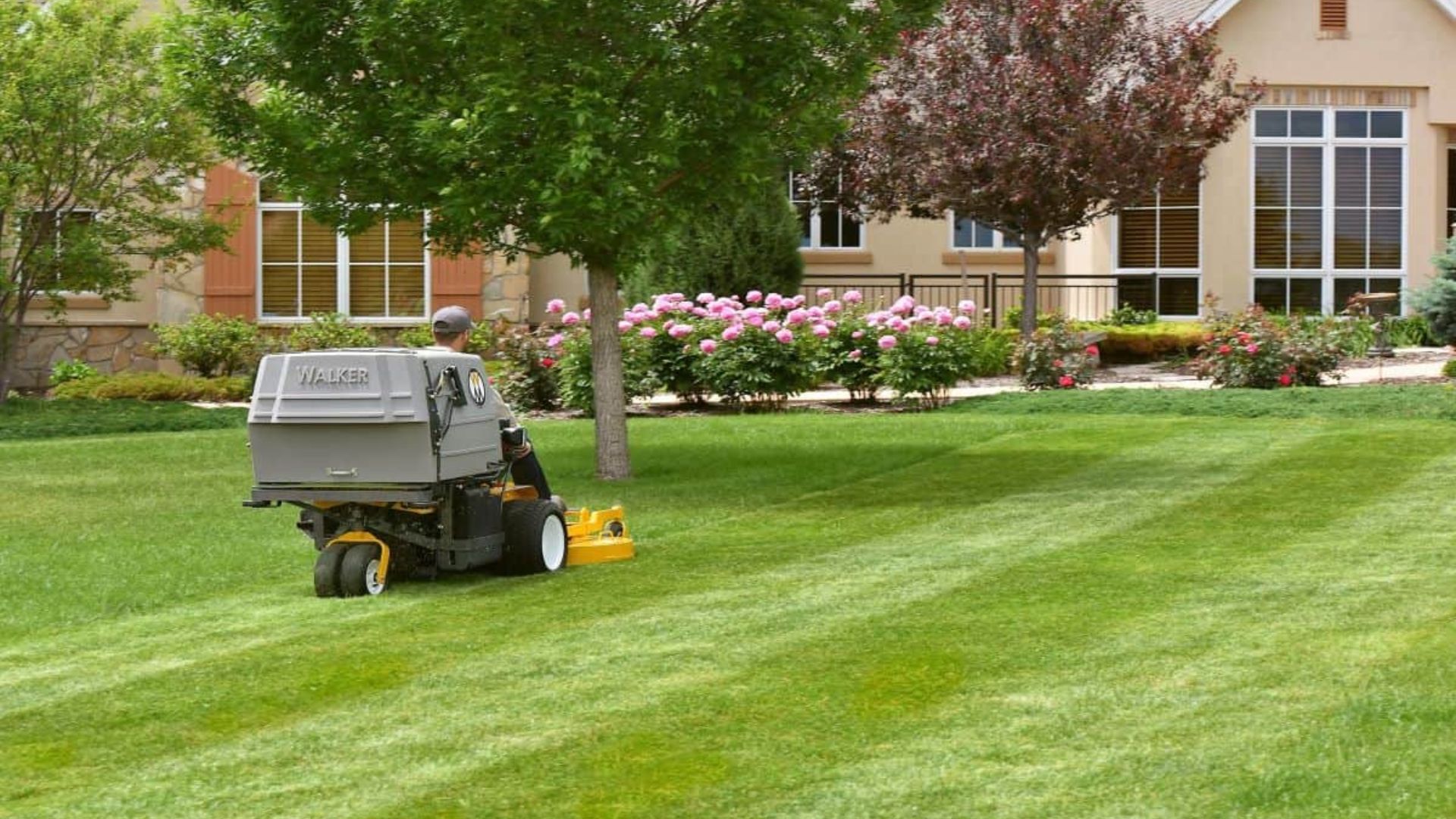 Lawn Mowing Stone Mountain GA