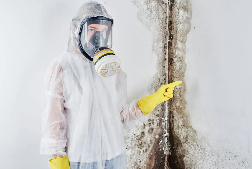 water damage restoration service