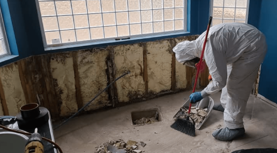 Mold Remediation Florida