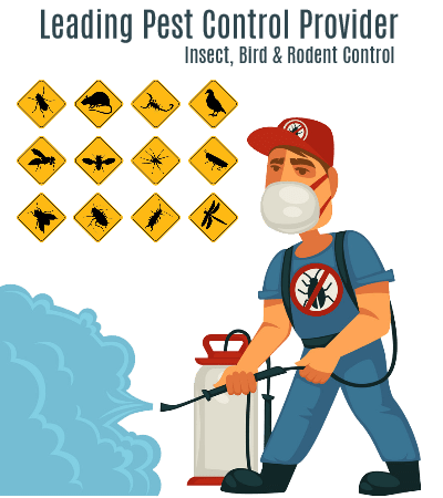 Eco Safe Pest Control Perth