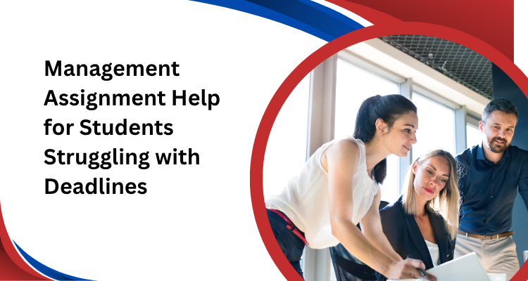 assignment help