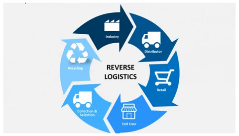 Efficient Reverse Logistics for Modern Businesses