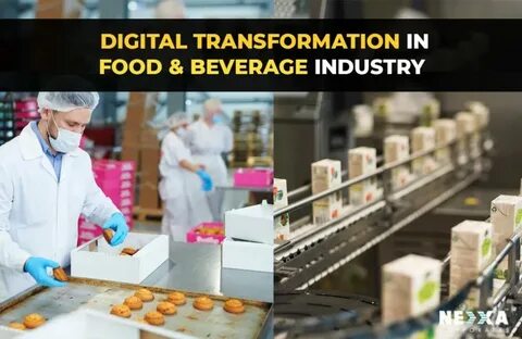 Building Efficiency and Innovation in Modern Operations