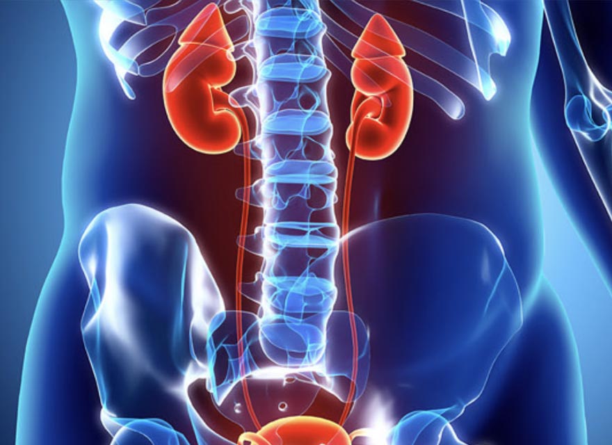 12 Urology Conditions Treated by Leading Dubai Specialists