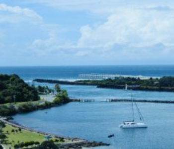 Pre-Sale Building and Pest Inspections: Are They Worth It?