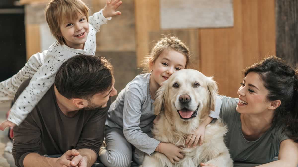 Why Experienced Vets in Knoxville Are in High Demand?