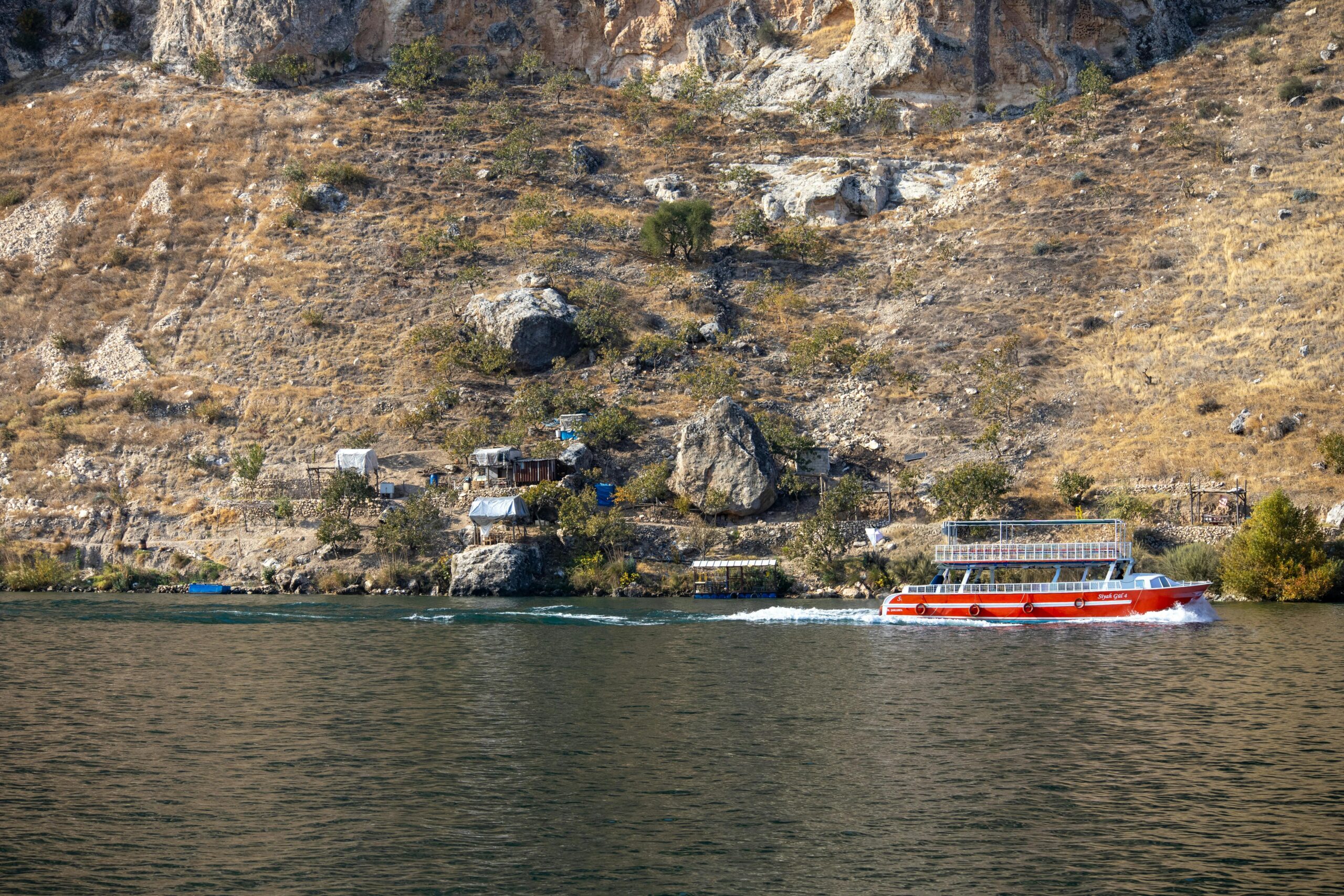 How I Saved Big with a CruiseDirect Discount Code