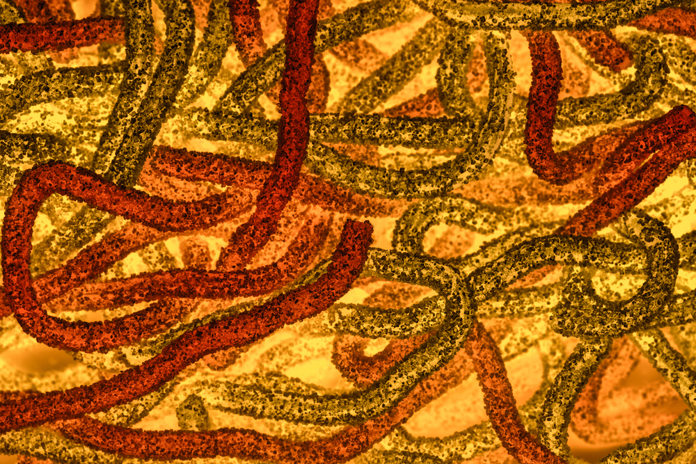 Fight Against C. Diff Infections