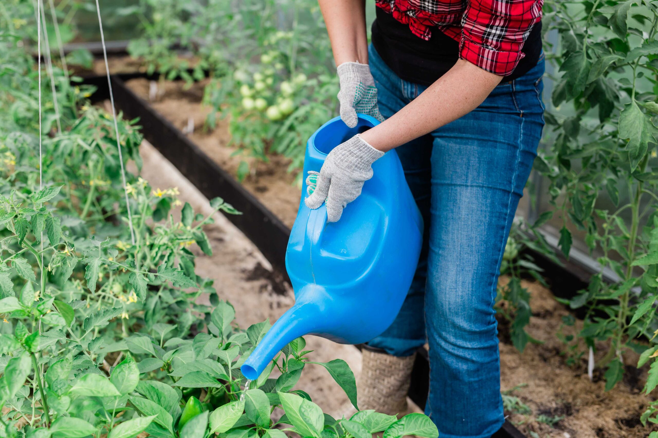 liquid fertilizer for hydroponics